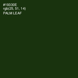 #19330E - Palm Leaf Color Image